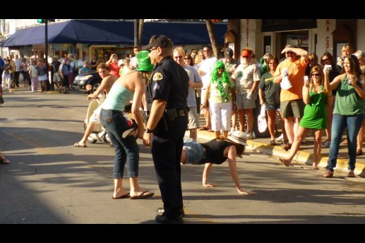 2010 Gallery - P1010236